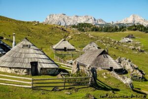 Velika planina
