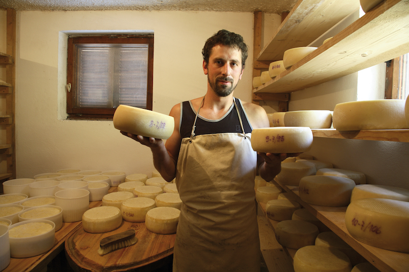 Bovec cheese
