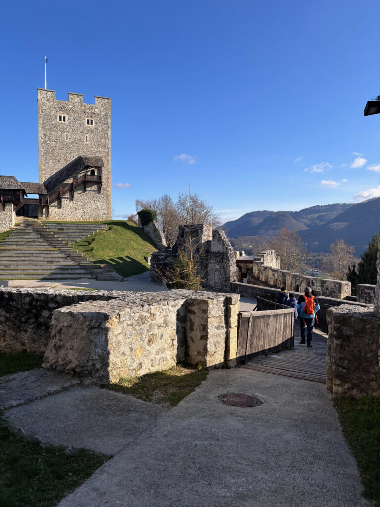Celje